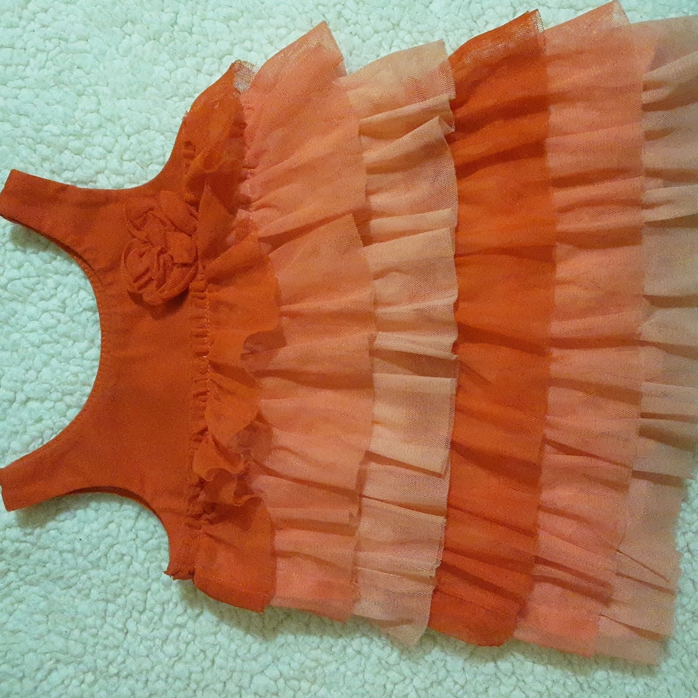 12 mo Cherokee dress